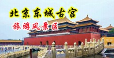 抽插模特中国北京-东城古宫旅游风景区
